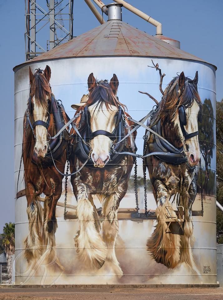 North East Victoria`s Silo Horse Art Trail - A Mesmerizing Blend of Art and Nature 